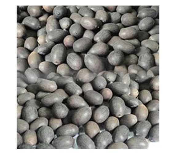 Shree Sukt Creation® Pure/Natural Kamal Gatta/Kamal Bij/Kamal Beej for Pooja [Pack Of 1-101pcs]