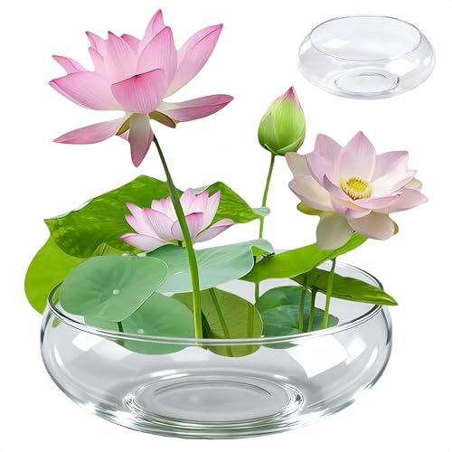 1 Pcs Lotus Bowl Planter Round Lotus Bowl Glass Lotus Flower Bowl Lotus Bowls for Planting in Water Indoors Applicable to Bonsai Bowl Lotus Flower Hydroponic Plant Home Decor (5.9IN)