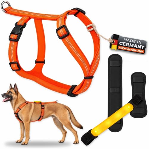 Feltmann Mantrailing Geschirr Hund Profi – Hundegeschirr & Suchgeschirr reflektierend, Neonorange, LED-Leuchtband, Neopren-Polster, Zugpunkt hinten, 5-Fach verstellbar, Bauchumfang 40-60 cm, 15 mm