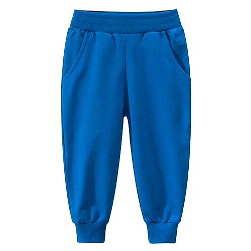 Toddler Boys Girls' Sweatpants Unisex Kids Joggers Hiking Workout Running Casual Pants Oversized Loose Fit Harem Pants