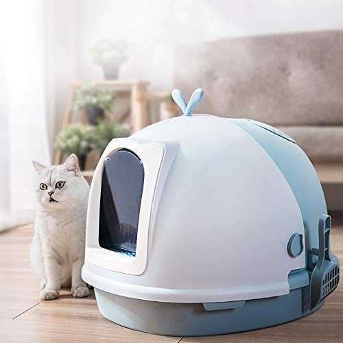 Camas Gatos Cerradas Marca Mllove