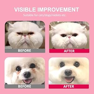 Dog eye wipes tear stain remover for dogs  cats  100pcs remove eye discharge and crust  coconut oil pet cleaning grooming deodorizing wipes for eyesface natural and non irritating   cucciolini doodles