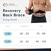 Copper Compression Back Brace. Copper Infused Lumbar Support for Lower Back Relief, Sciatica, Herniated Disc, Scoliosis, Pain & Strains. Adjustable & Breathable. Fits Men & Women (Waist 28 - 34)