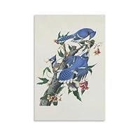 Amazon.co.jp: John James Audubonジョン・ジェームズ