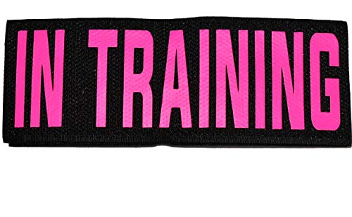 Diezel Pet Products Service Dog Or in Training Collar Patches Hook Backing - 2"X6" for ESA Emotional Support Pets Therapy Dogs Vests Collars Neon Letters On Black Nylon Hook Strip (Pink, in Training)