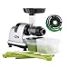 Omega MM900HDS Slow Masticating Celery Juicer, 200 Watt, Silver