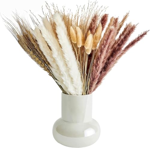 Pampas Grass Large 80 Pcs Dried Pampas Grass Decor miniatura 1