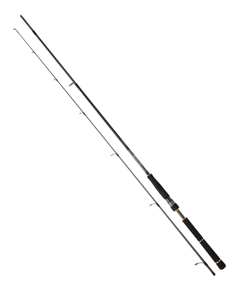Daiwa BG Seabass Spin - 9'3" / 14-56g / 2pc - BG932HXHFS-CF