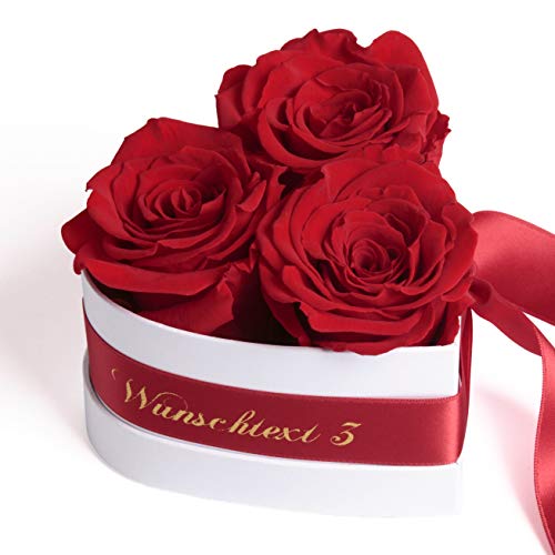 Infinity Rosenbox Herz Widmung personalisiert - 3 ewige Rosen rot in Box 10x12cm haltbar 3 Jahre - persönliche Frauen Geschenke Rosemarie Schulz Heidelberg (Wunschtext, Rot)