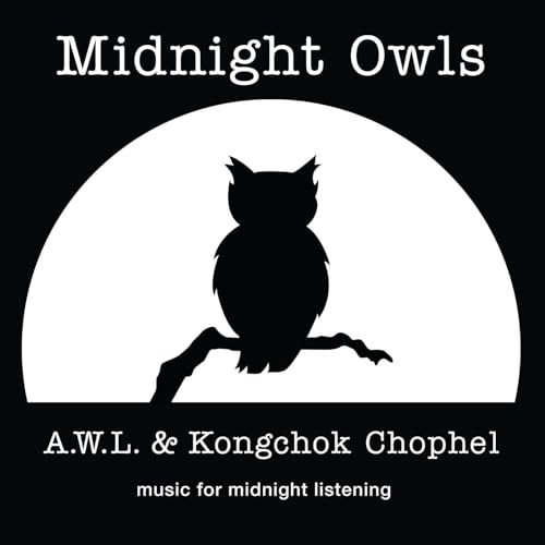 Midnight Owls cover art