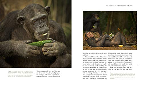 Just Like Us: A Veterinarian's Visual Memoir of Our Vanishing Great Ape Relatives