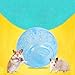 Stgfyxgs Hamster Activity Sphere for Exercise and Play, Blue