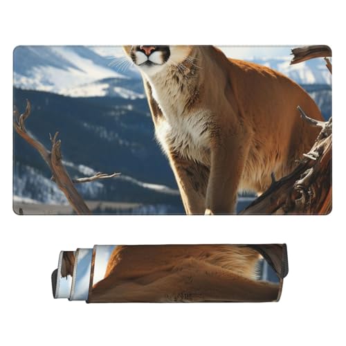 Tapis de souris de jeu étendu pour sublimer votre bureau d'ordinateur portable