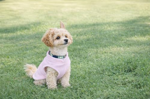 Image of JACKO & CO - Fleece Vest Dog Sweater with Leash Ring - Soft, Warm & Lightweight Pullover Coat for Small & Medium Dogs, Puppies & Cats - Cozy Fall /Winter /Spring Pet Jacket (Pink Lemonade, L 10-16lbs)
