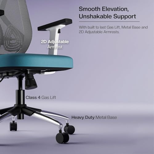 Image of SpineX Pro CP101 Ergonomic High Back Mesh Office Chair with 3 Years Warranty | Lumbar Support, Adjustable 2D Armrests, Synchro Mechanism, Chrome Base | (White Blue)