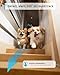 blurams Pet Camera 2K, 360° Dog Camera with Phone App, PTZ Indoor Cameras for Home Security Indoor, 2-Way Audio, Motion Tracking, Color/IR Night Vision, Siren, Cloud&SD(2.4GHz Only)