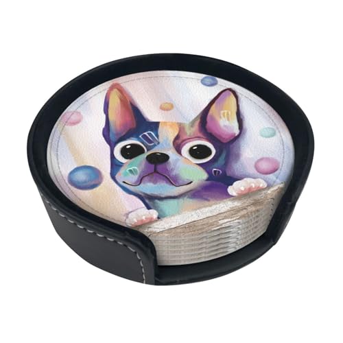 �R�[�X�^�[ ���� �R�[�M�[ �h�b�O ���� �ڋ��M�t�g ������� �J�W���A�� �z������ Pu �Ȗ���� �~�^ �J�b�v�z���_�[ ���I�̐��H�h�~ �L�b�`�� �V�z�j�� 6��/�Z�b�g ���[�P�[�X�t��