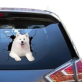 Samoyed ビニールステッカー サモエド カーデカール バンバー ウィンドウ デカール 女性用 ファニー ジョーク 防水 SUV アティッカー