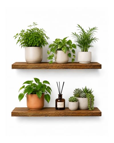 Image of Bamworld Plant Stand Wall Plant Shelf Set of 2 Wooden Floating Shelves for Flower Pot Display Indoor Garden Planter Organizer Wall Mounted Pot Holder Solid Wood Yard Decor