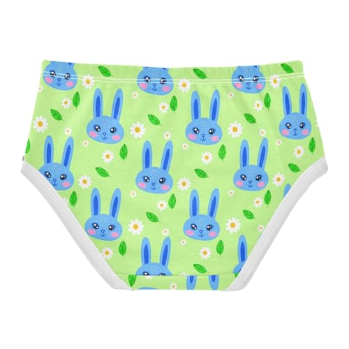 Cute Bunny Rabbit Flowers Floral Green Toddler Girls's Underwear 2T 23018782