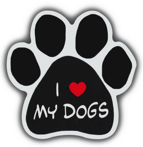 Imán decorativo en forma de pata de perro miniatura 1
