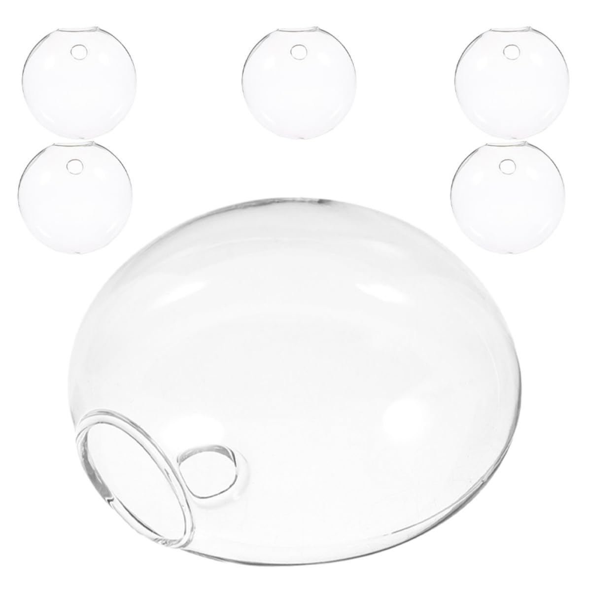 Vases muraux en verre x6 pour décoration hydroponique et petites plantes