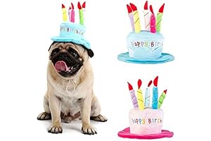 Cute Adorable Birthday Dog Party Hat
