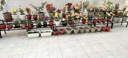 Image of A-One 2 Step Garden Plant stand Flower Pot Holder Plant Pot Stand Heavy Duty (BLACK) (Two Step)