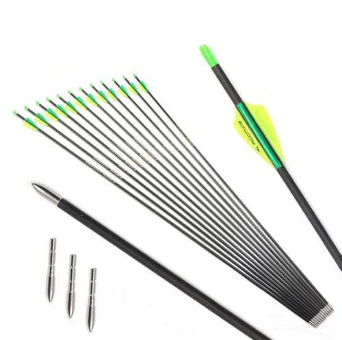12 pezzi Caccia Frecce in Carbonio ID 4,2 mm Spine 300 400 500 600 700 800 900 1000 Freccia da Pratica per Tiro con l'arco Arco Recurve Arco Compound (30inch,Spine 700)