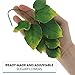 Global Sugar Art Rose Leaf Sugar Cake Flowers Spray, Green with Yellow, 3 Count by Chef Alan Tetreault