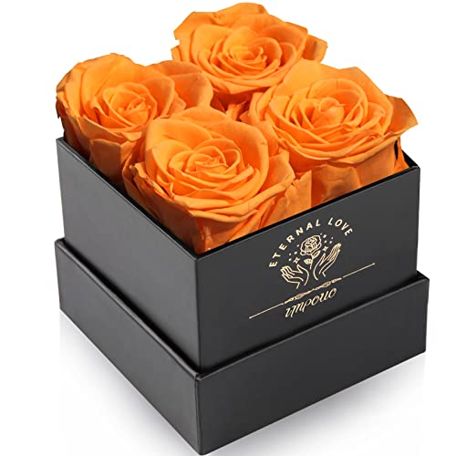 Impouo Preserved Rose Gifts for Her Birthday Gifts for Women Gifts for Mom/Girlfriend/Wife/Grandma Christmas Birthday Valentines Day