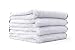 The Rag Company (4-Pack) 16 in. x 16 in. Everest 550 White Super-Plush Professional Korean 70/30 Microfiber Detailing Towels (16x16 550gsm)
