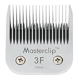 Masterclip