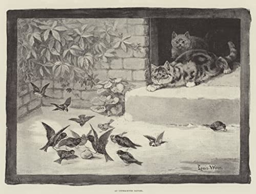 Affiche An Unperceived Danger Louis Wain décoration murale 58x90