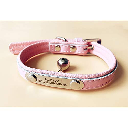 PP&DD L O qD ID^bO Dt {v ybg ^hbO^bO l[v[g ^ ^ ^ ߉\ xt ybgpi Ȃ܂ O+dbԍ (sN)