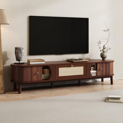 OLIVIBED Mueble de TV con ratán armario