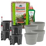 Leni Classic Hydrokultur Komplett-Set &Oslash; 13 cm H&ouml;he 10 cm 4er-Pack Grau