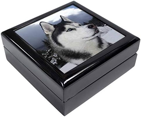 Advanta Group Siberian Husky Dog Keepsake/Jewellery Box