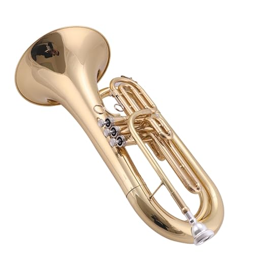 vtFbVi[tHjA }[`O[tHjAǊyBtbg`[ox[Xgybg}[`Oohp