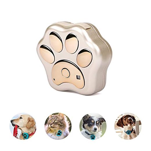W-Pet Gps tracker för hund vattentät aktivitetsmätare katt GPS spårare krage med krage lätt anti-förlorad gratis online-spårningsplattform guld