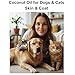 ALPHA PET ZONE Organic Coconut Oil for Dogs & Cats Skin and Coat, 32 oz, Natural Treatment for Itchy Skin, Dry Elbows, Paws & Nose