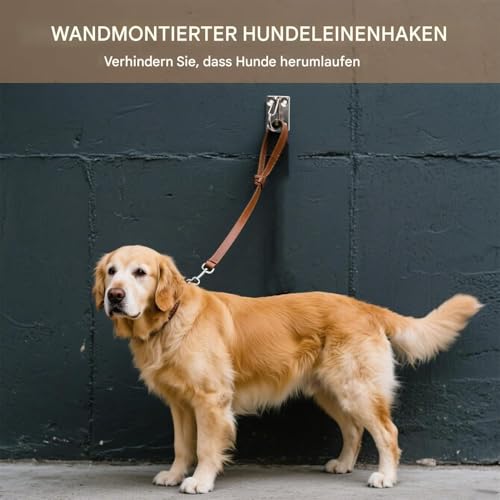 Sichere Hundeleine Wandhaken - 2er-Pack Hundeanhänger Kupplung | Praktische Edelstahl Halterung zur Leinenführung | Robuste Anbindevorrichtung für Alle Hunde | Verwendung für Innen und Außenbereich