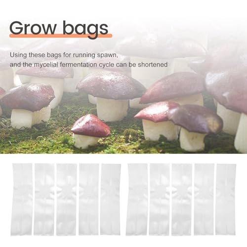 Sacs de spawn grandir de champignon pré-scellables de haute qualité thermique