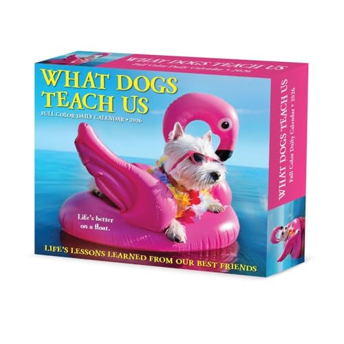 Willow Creek Press What Dogs Teach Us 2026 デイリーボックスカレンダー - 犬の写真、人生の教訓、犬のインスピレーションを含む365日間のデスクカレンダー - 切り離しのページ (6.2インチ x 5.4インチ)