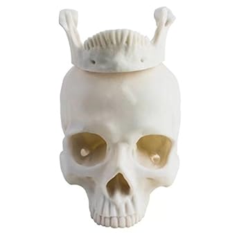 BoNew-Oral 1:1 Replica Realistic Human Skull Head Bone Resin Model Life Size