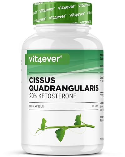 vit4ever Cissus Quadrangularis - 180 Kapseln mit 700 mg Extrakt - Premium: 20% Ketosterone - Hochdosiert - Vegan - Laborgeprüft