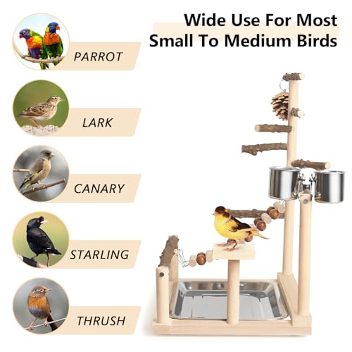 Image of Wood Pet Parrot Playground Bird Play Stand Toys Perch with Feeder Cups for Cockatiel Parakeet Lovebirds Conure (Natural)