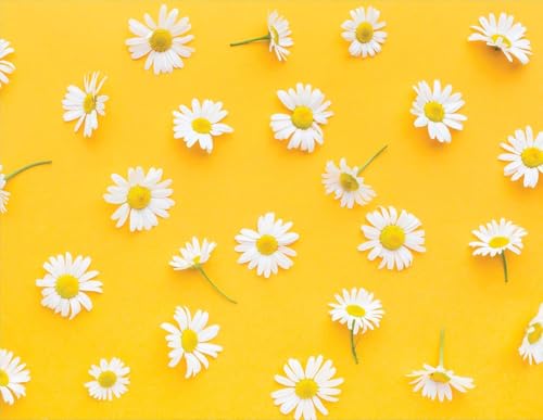 Nimbose® Self-Adhesive Botanical White Flowers On Orangish Yellow Wallpapers, Peel & Stick Wall Stickers for Home Decor, Living Room, Bedroom, Kids Room (5 Meters, 45 x 500 cm Qty: 1)