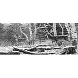 Auto-Heck-Grafik-Aufkleber mit Hirschtieren für LKW, SUV, geeignet für Pickup-Fahrzeuge