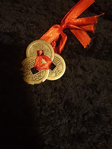 Pangda 5 Sets Chinese Coins Fortune Coin Feng Shui Coins Lucky Coins I-Ching Coins with Red String